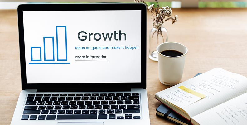 small business web design roseville