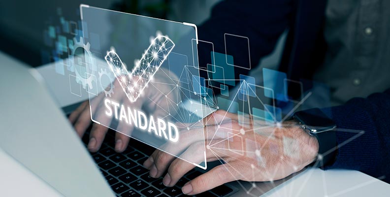 professional web developers in Roseville