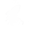 Launch